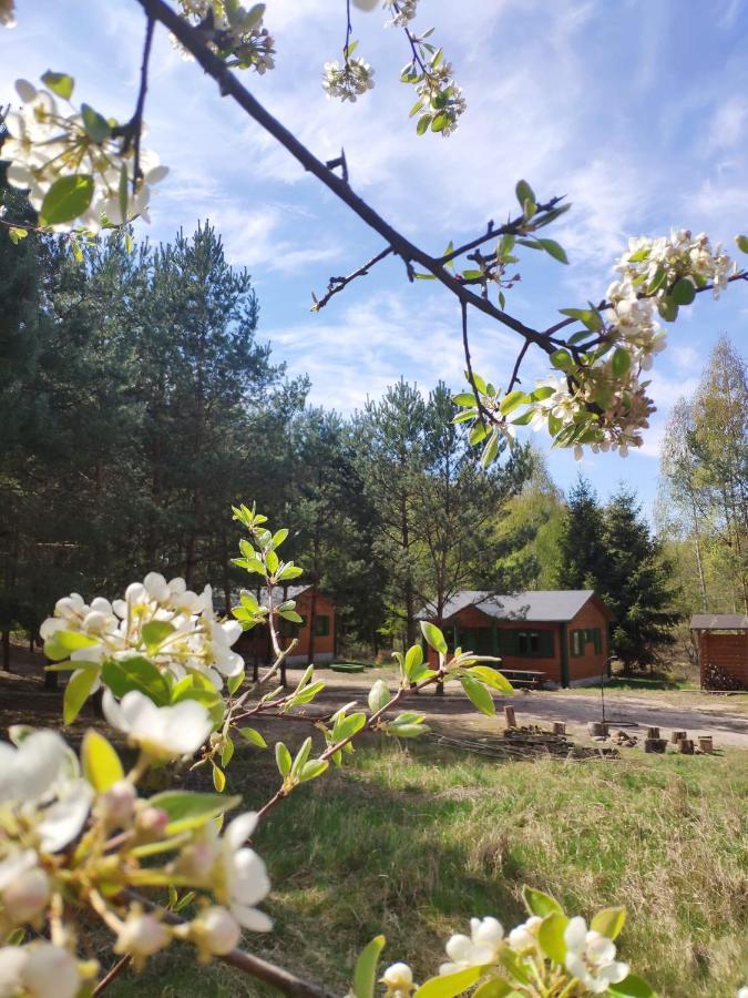 Agroturystyka Oaza Ciszy I Spokoju Miedzychod Exteriér fotografie