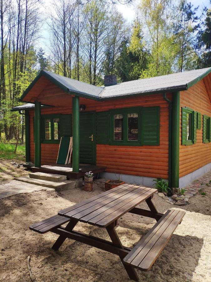 Agroturystyka Oaza Ciszy I Spokoju Miedzychod Exteriér fotografie