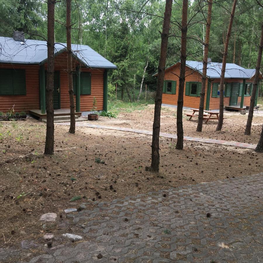 Agroturystyka Oaza Ciszy I Spokoju Miedzychod Exteriér fotografie