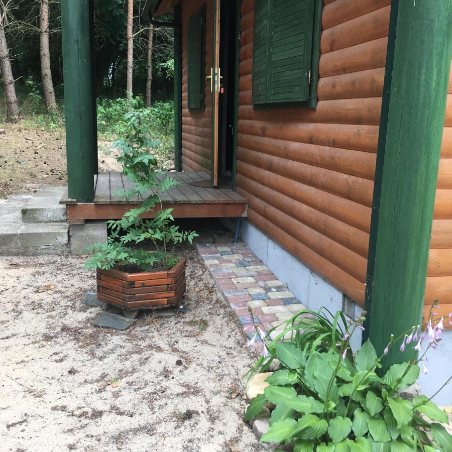Agroturystyka Oaza Ciszy I Spokoju Miedzychod Exteriér fotografie