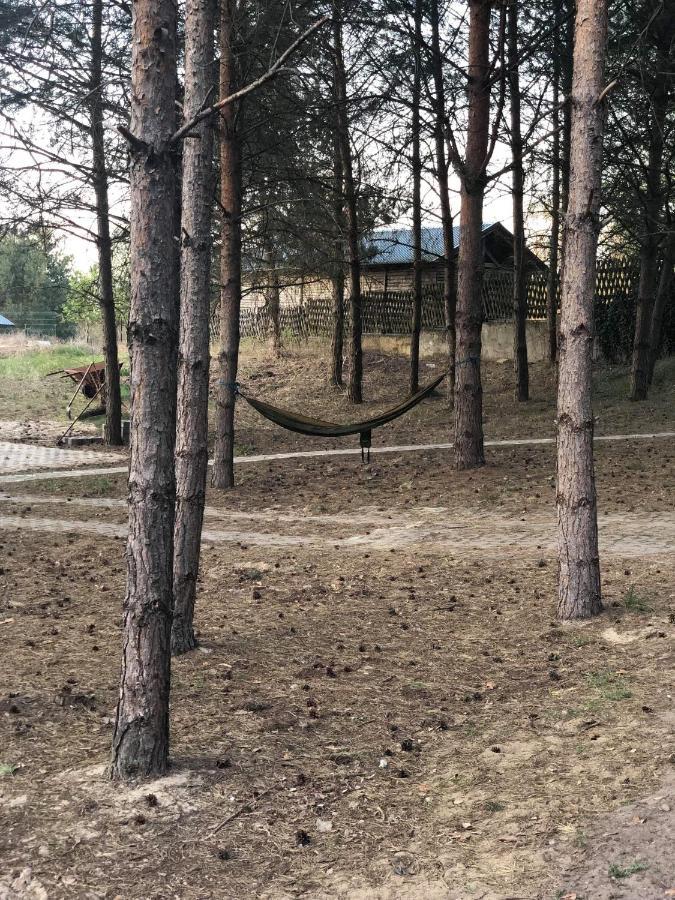 Agroturystyka Oaza Ciszy I Spokoju Miedzychod Exteriér fotografie