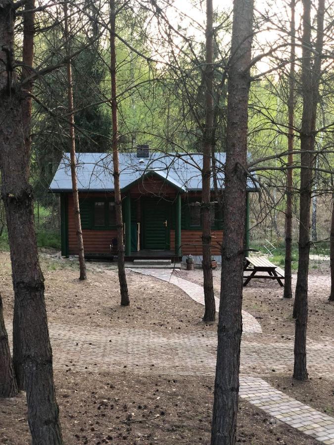 Agroturystyka Oaza Ciszy I Spokoju Miedzychod Exteriér fotografie