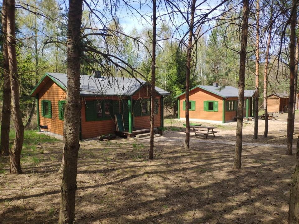Agroturystyka Oaza Ciszy I Spokoju Miedzychod Exteriér fotografie
